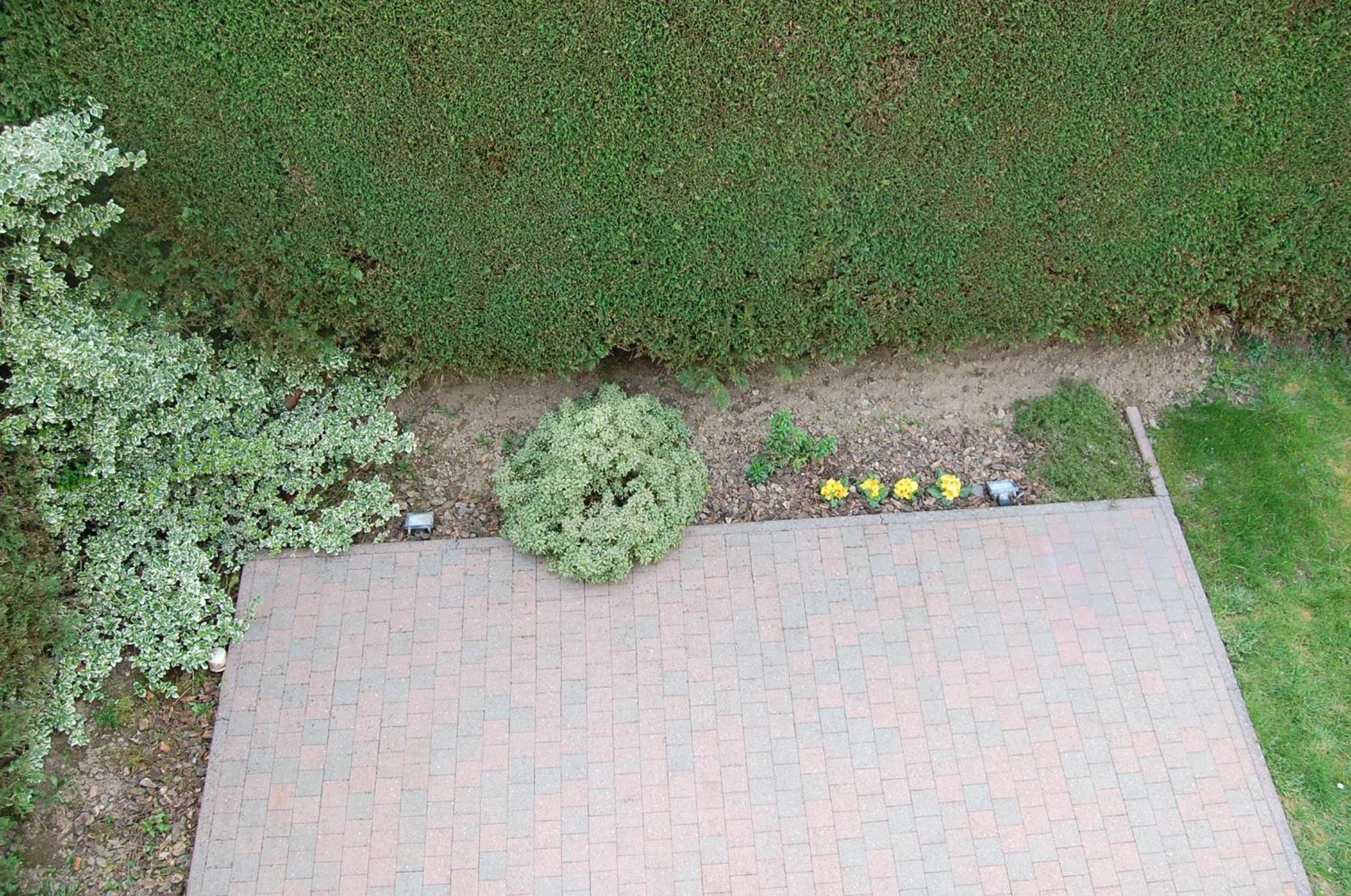Paliseul B&B Des Bois Sans Nombre المظهر الخارجي الصورة